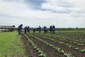 ORRM employees farming